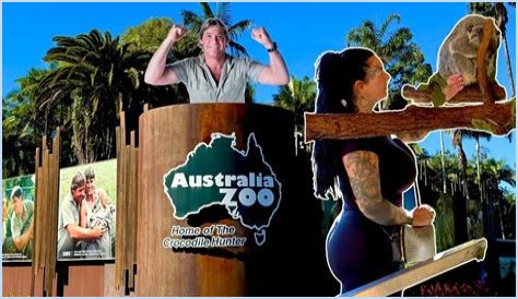 What Were Steve Irwin's Last Words? Uncovering the Truth About a Wildlife Legend's Final Moments