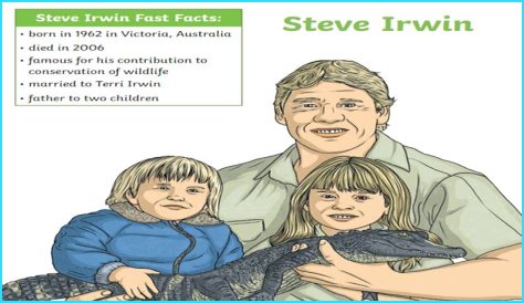 Why Was Steve Irwin Criticized? Unpacking Public Perceptions